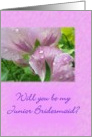 Will you be my Junior Bridesmaid? card