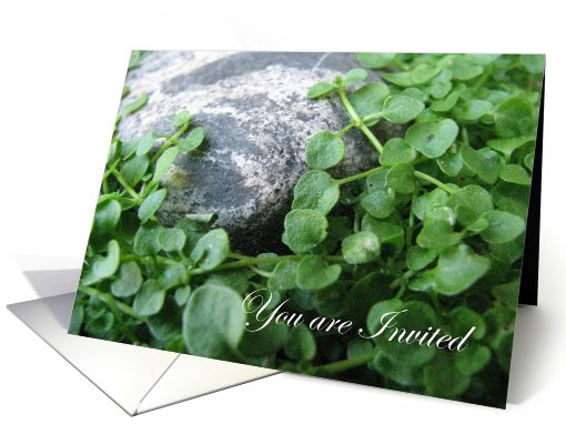 You are invited card (494379)