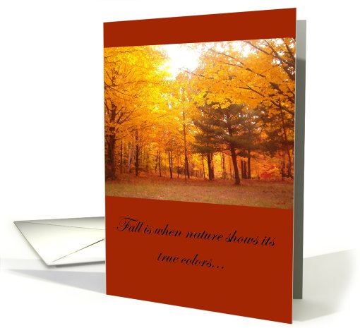 Fall Foliage nature's true colors card (498275)