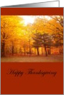 Thanksgiving Fall Foliage card