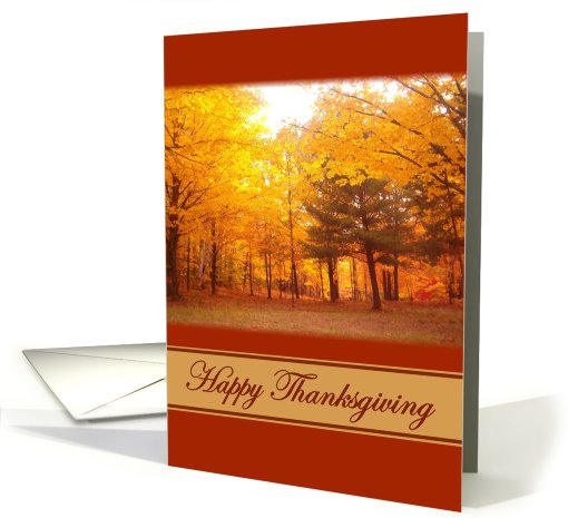 Happy Thanksgiving Fall Foliage card (498696)