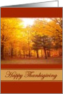 Happy Thanksgiving Fall Foliage card