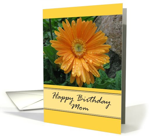 Happy Birthday Mom card (513710)