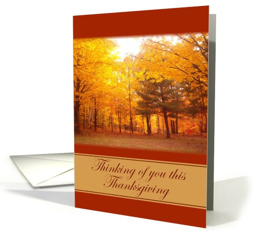 Thinking of you this Thanksgiving card (516039)