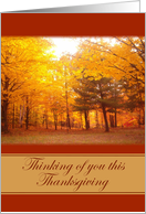 Thinking of you this Thanksgiving card