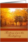 Thinking of you this Thanksgiving card