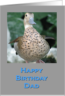 Birthday Duck for Dad card