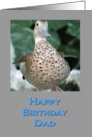 Birthday Duck for Dad card