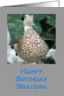 Birthday Duck for Grandpa card