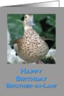 Birthday Duck for Brother-in-Law card