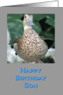 Birthday Duck for Son card