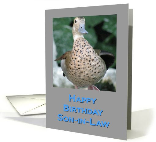 Birthday Duck for Son-in-law card (539569)