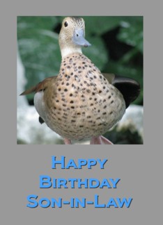 Birthday Duck for...