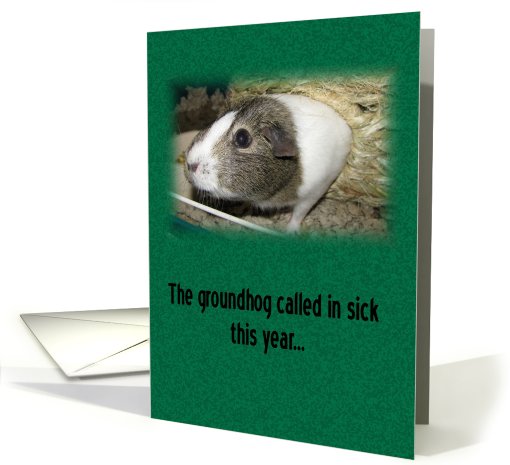 Guinea Pig Day card (539571)
