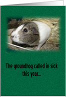 Guinea Pig Day card