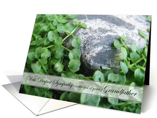 Sympathy on loss of Grandfather card (539576)