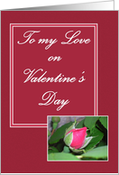 To my Love on Valentine’s Day Rose card