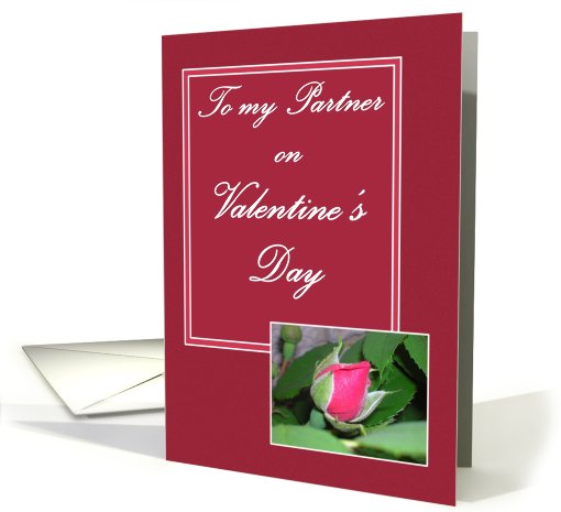 To my Partner on Valentine's Day Rose card (545112)