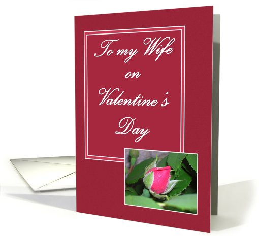 To my Wife on Valentine's Day Rose card (545113)