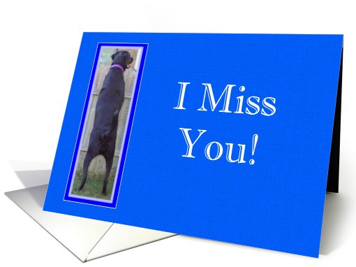 I Miss You Black Lab card (545699)