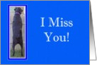 I Miss You Black Lab card