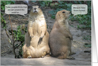 Groundhog Day Humor ...