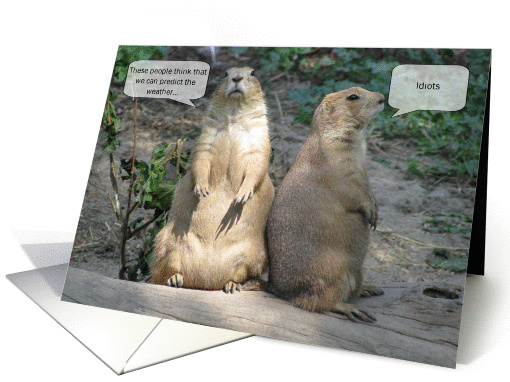 Groundhog Day Humor - Idiots card (546020)