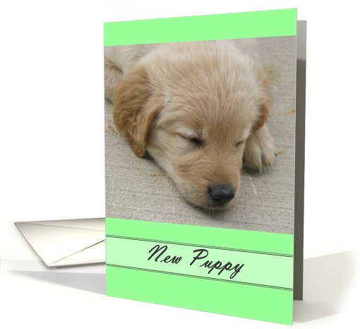 New Arrival Puppy card (575619)