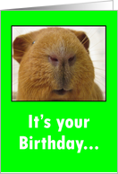 It's your Birthday...