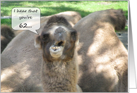 Happy 62nd Birthday Camel card