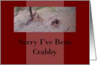 Sorry I’ve Been Crabby card