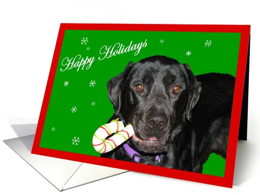 Happy Holidays Black Lab card (716098)