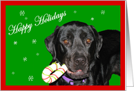 Happy Holidays Black Lab card