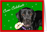 Holiday Invitation Black Lab card