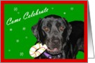 Holiday Invitation Black Lab card