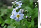 Thinking of you - Forget-me-not card