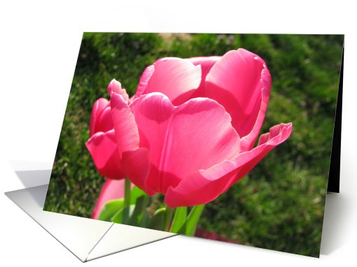 Spring Tulip card (803476)