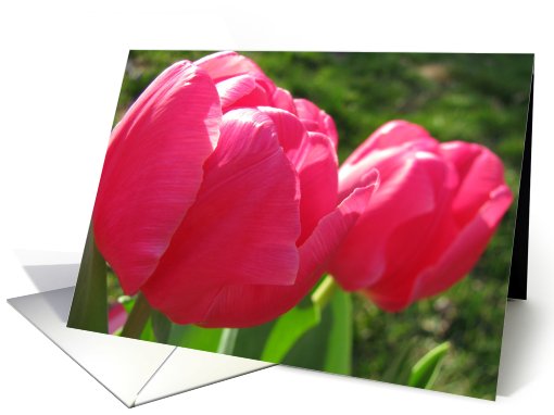 Pink Spring Tulips card (803480)