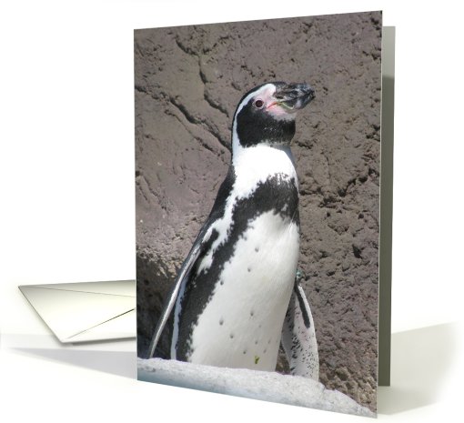 Penguin card (803507)