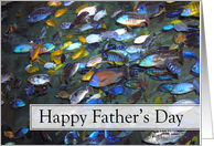 Happy Father’s Day - One in a Million - Chichlids card