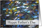 Happy Father’s Day - One in a Million - Chichlids card
