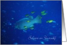 Believe in Yourself - Stand Out Fish card