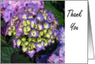 Thank You Full Bloom Purple and Yellow Flowers card