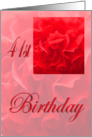 Happy 41st Birthday Dianthus Red Flower card