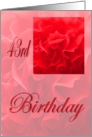 Happy 43rd Birthday Dianthus Red Flower card