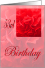 Happy 53rd Birthday Dianthus Red Flower card