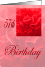 Happy 57th Birthday Dianthus Red Flower card