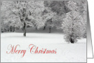 Merry Christmas Snow and trees card
