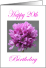 Happy 20th Birthday Purple Flower card