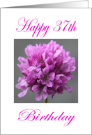 Happy 37th Birthday Purple Flower card